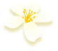 標題icon